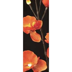  Lighted Sunset Orchid With 16 Lights   2 Branches   33 