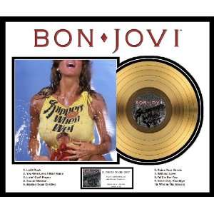    Bon Jovi Slippery When Wet framed gold record