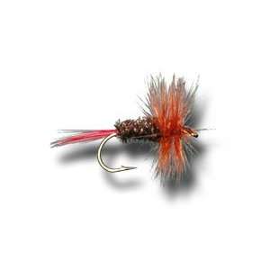  Brown Hackle Peacock Fly Fishing Fly