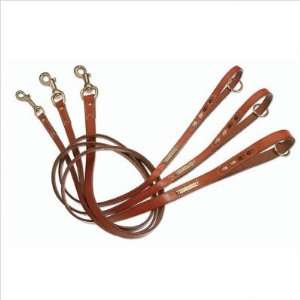 Bundle 86 Classic Leather Dog Leash with Inserts:  Kitchen 