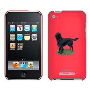  Flat Coated Retriever on iPod Touch 4G XGear Shell Case 
