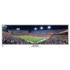    The Swamp Stadium Panoramic Print (you choose frame and mat color