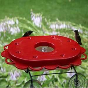 Birds Choice Hummingdome 16 Oz Hummingbird Feeder & Dome:  