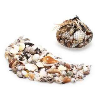   coffee table. Natural sea shells provide a unique coastal accent