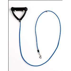  Leash Jr Bungee for the little guys up to 20 lbs. with light bungee 