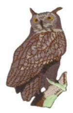 Owl Embroidered Iron On Applique Patch wx0048  
