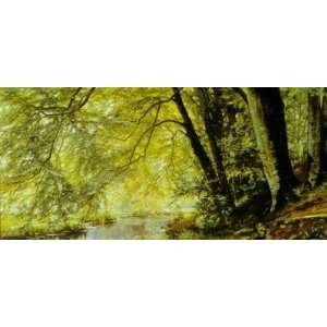  River Through The Woods Poster Print