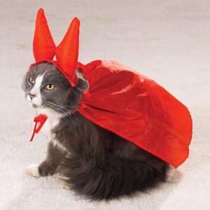 The Evil One Cat Costume 