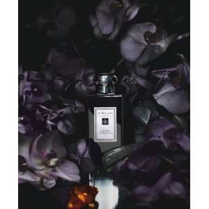 Dark Amber & Ginger Lily Cologne Intense Spray (Originally Without Box 
