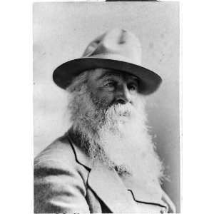  Walt Whitman,1819 1892,American Poet,Father of Free Verse 