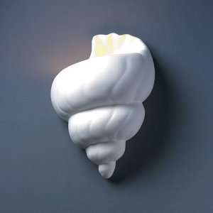   Design Group CER 3700 BIS Conch Shell Wall Sconce
