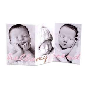   Girl Birth Announcements   Special Hello: Rose By Magnolia Press: Baby