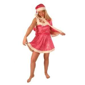  Pams Ladies Pink Santa Fancy Dress Costume: Toys & Games