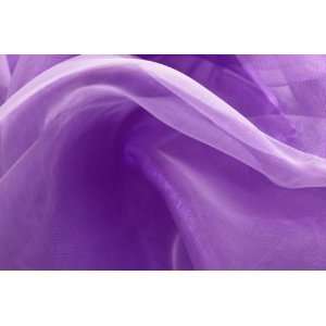  Purple Mirror Organza Fabric 58/60 x 10yd Everything 