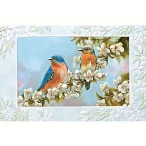   Bluebird Couple   Everyday Greeting Cards. Pack of 6: Everything Else