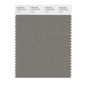  PANTONE SMART 17 0613X Color Swatch Card, Vetiver: Home 