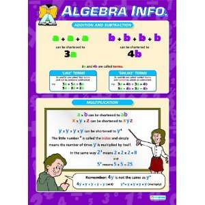  Algebra Info Extra Large Paper Poster Health & Personal 