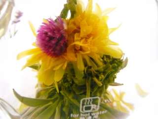 Glass Teapot + Warmer + 12 Blooming Flowering Tea B  