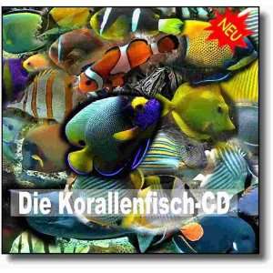 Die Korallenfisch CD Eine Einführung in die Welt der Korallenfische 