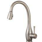 Pegasus Asti 1 Handle Pull Down Kitchen Faucet in Brushed Nickel