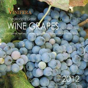 Vinifera Wine Grapes 2012 Wall Calendar 9780984408054  