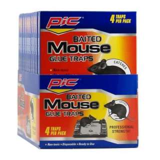 PIC Baited Mouse Glue Traps (48 Pack) GT 4 H at The Home Depot 