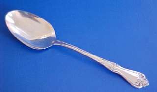   BRIARWOOD Wm Dalton Tablespoon Serving Spoon Stainless Steel  