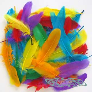 Coloured Duck Quill Feathers 10g (Approx 50+ 8 12cm)  