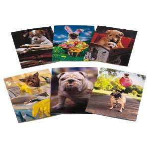 Avanti Spring Greeting Card Assortment, Puppy Dog Tails, 6 