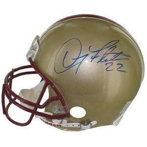 Autographed Doug Flutie Helmet   Authentic   Autographed NFL Helmets 