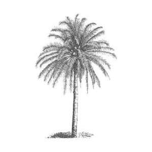 Palm Tree Wood Mounted Rubber Stamp Arts, Crafts & Sewing