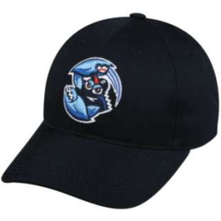     Philadelphia Phillies (A) Minor League Baseball Cap/Hat  