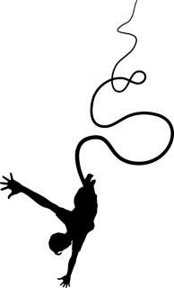 Bungee Jumping Vinyl Wall Silhouette Decals Stickers C  
