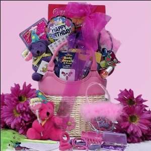 Happy Birthday Fashion Fun Tween Girl Birthday Gift Basket ~ Ages 8 
