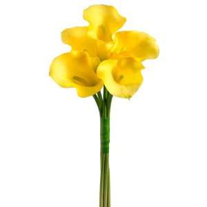  21 Calla Lily Bouquet x5 Yellow (Pack of 6): Home 