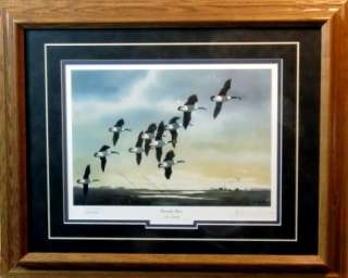 Les Kouba Canada Goose S/N Framed Print  