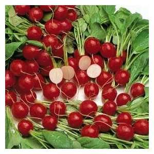    Thompson & Morgan Cherry Belle Radish SEEDS Patio, Lawn & Garden