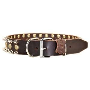  Dean & Tyler Leather Dog Collar Business End   High 