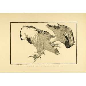 1883 Wood Engraving Ukiyoe Hokusai Mandarin Duck Wildlife Study Japan 
