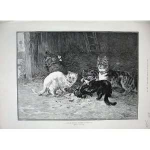  1888 Louis Wain Cats Killing Chicken Butterflies Art