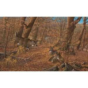  Michael Sieve   Ten OClock Rounds   Whitetail Deer Canvas 