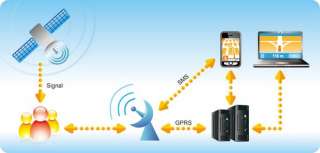 THINPAX TK104 Vehicle GPS Tracker Live Tracking System  