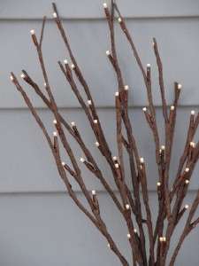 Lighted Floral Willow Branch Pre Lit 60 lights Battery