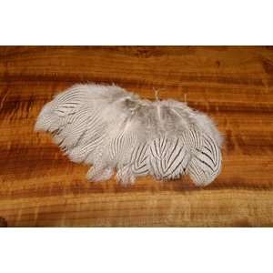  Fly Tying Material   Strung Silver Pheasant Body Feathers 