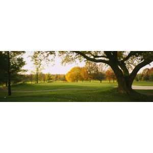 Trees on a Golf Course, Westwood Country Club, Vienna, Virginia, USA 