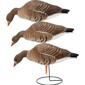 Hunting Greenhead Gear Life Size Specklebelly Goose Decoys 