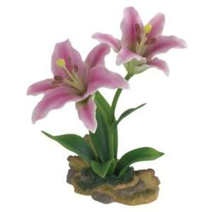  Andrea By Sadek 7 Double Pink Lily Patio, Lawn & Garden