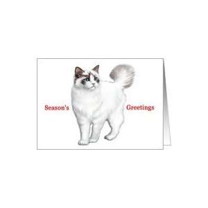  Ragdoll   Animals   Cat   Pets   Christmas Card Health 
