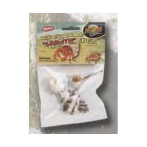  Zoo Med Hermit Crab Growth Shell: Pet Supplies