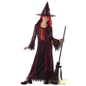  Childs Devil Witch Costume (Size: Small 6 8): Toys 
